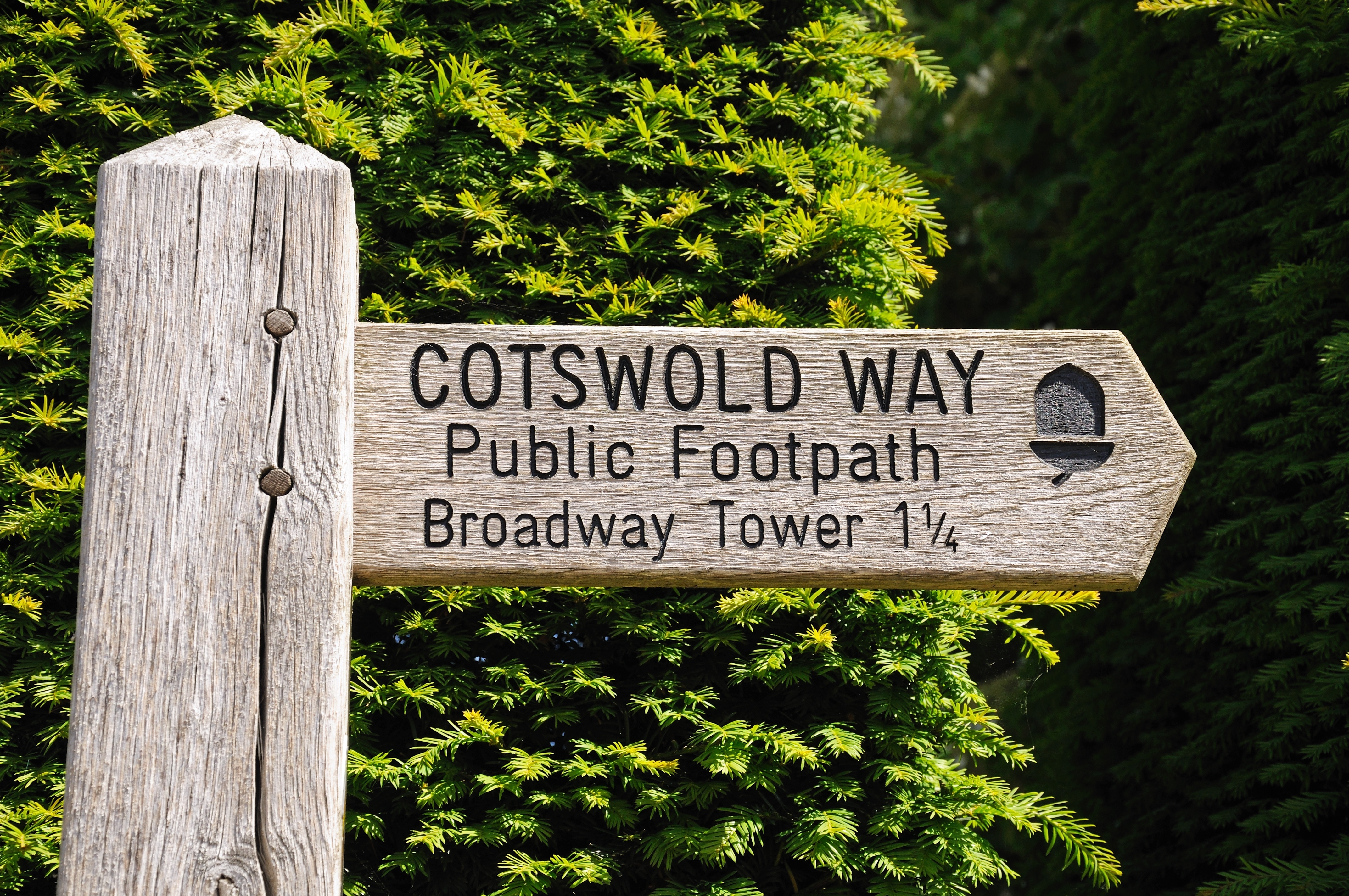 Wooden Cotswold Way footpath sign