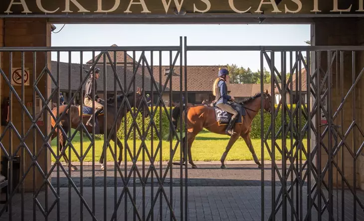 Horses walking past gated entrance at Jackdaws Castle