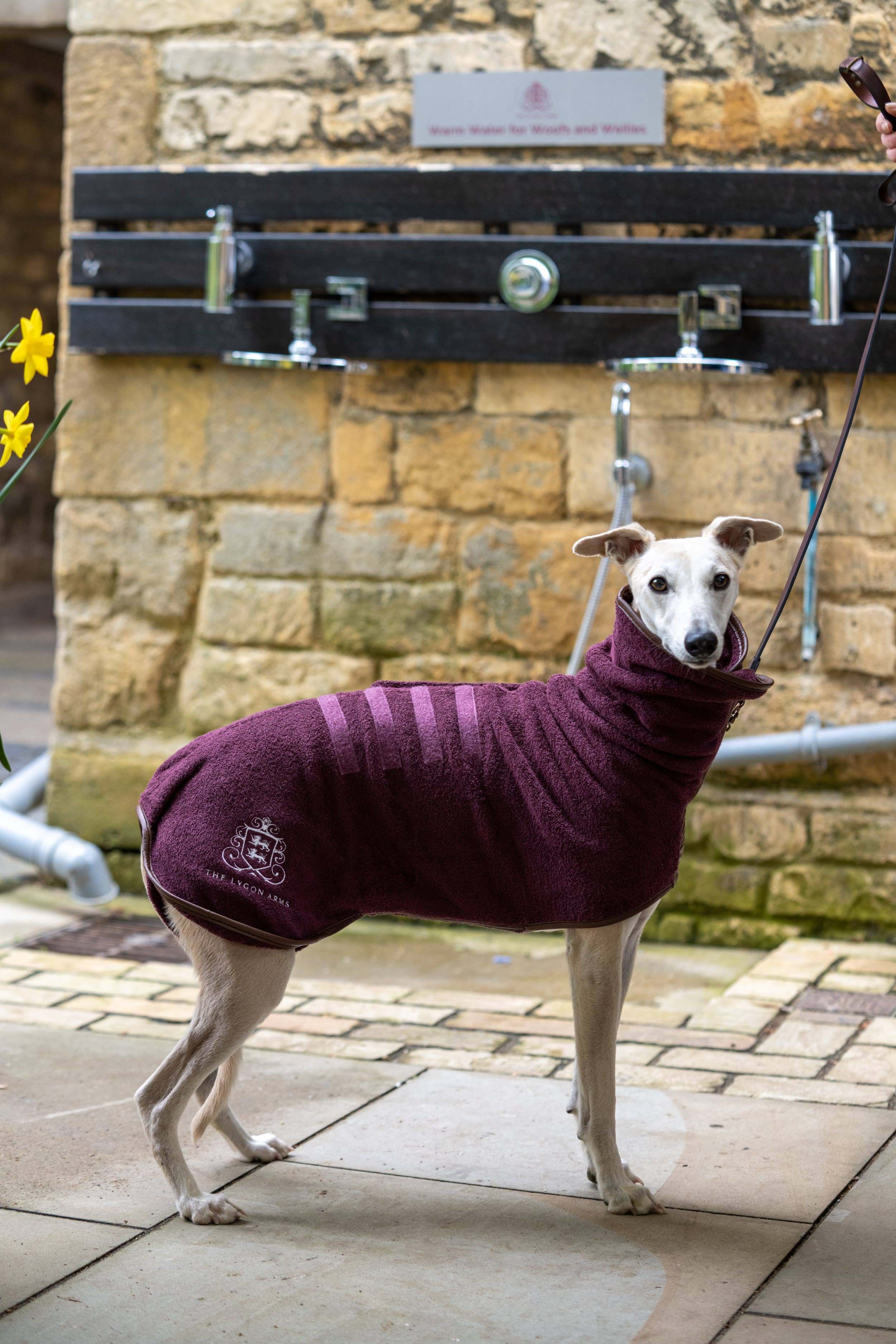 dog friendly hotels in Cotswolds