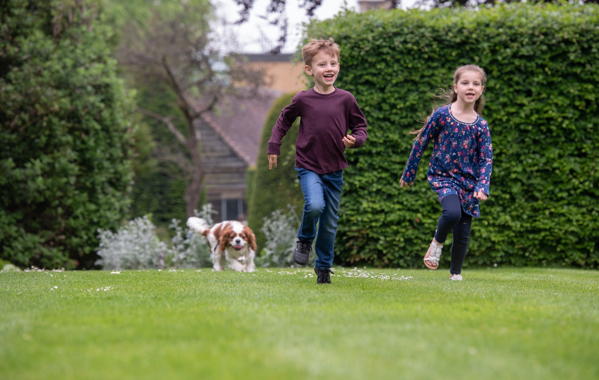 Children Running With Dog On Lygon Croquet Lawn
