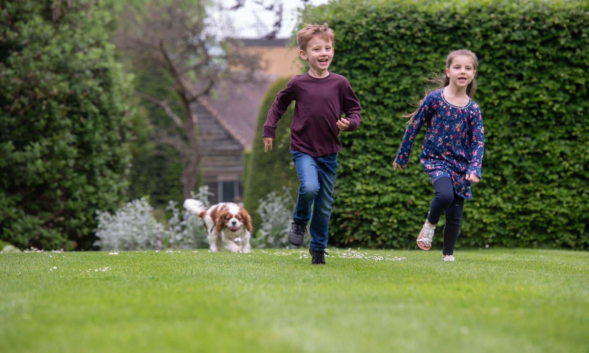 Children Running With Dog On Lygon Croquet Lawn