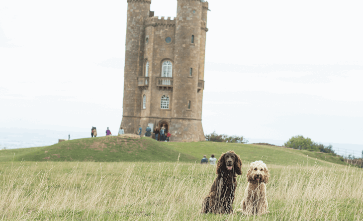 dog friendly hotels in Cotswolds
