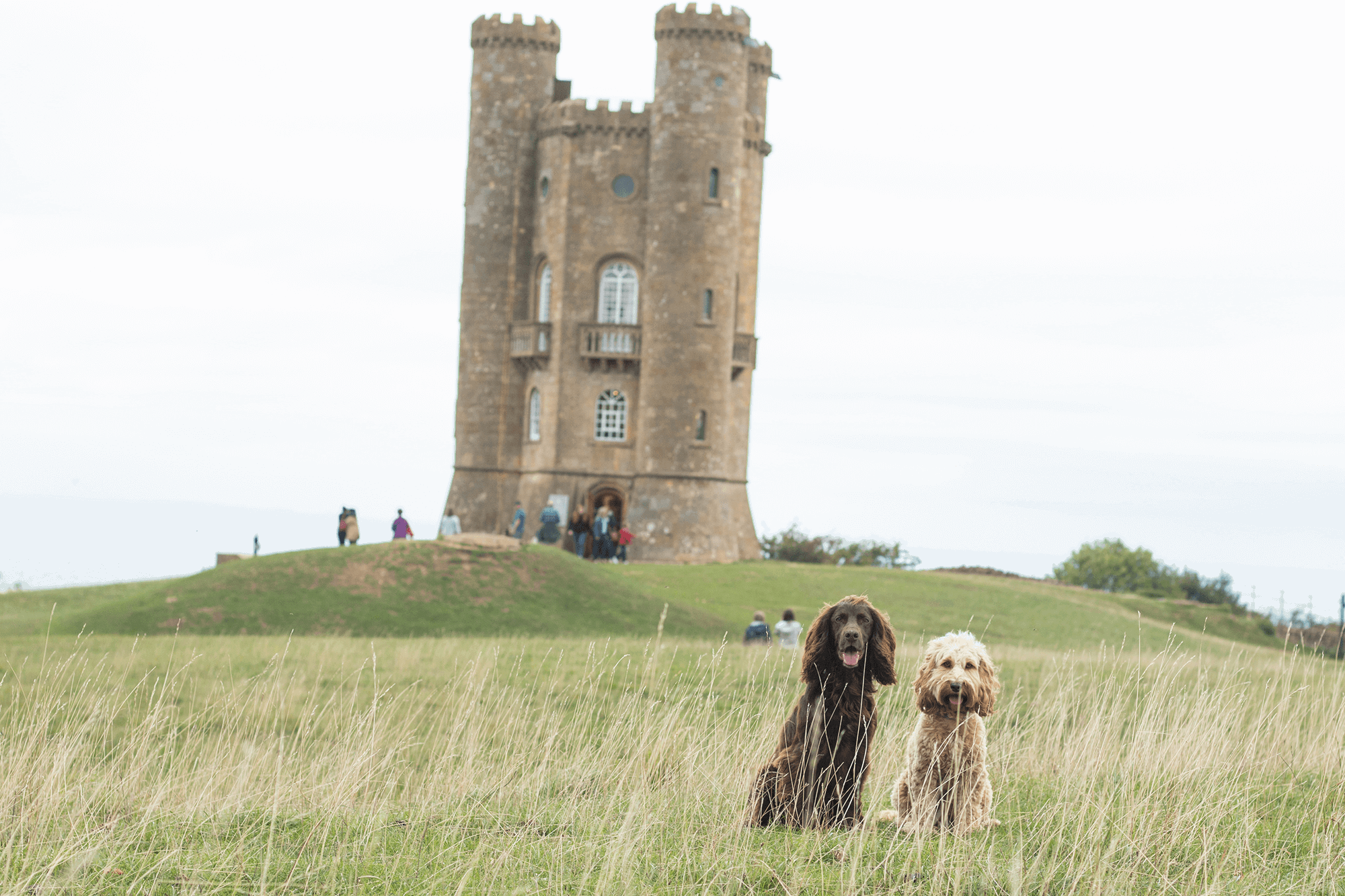 dog friendly hotels in Cotswolds