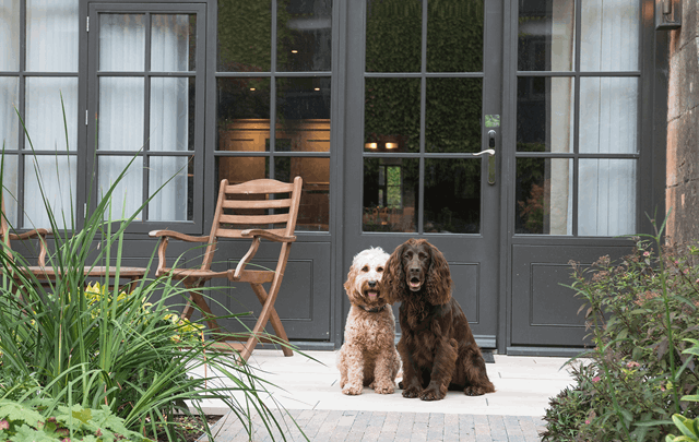 dog friendly hotels Worcestershire