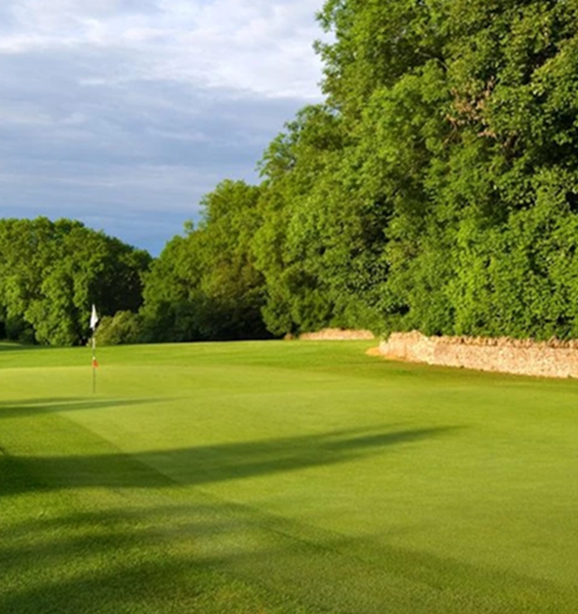 Outdoor gardens and trees