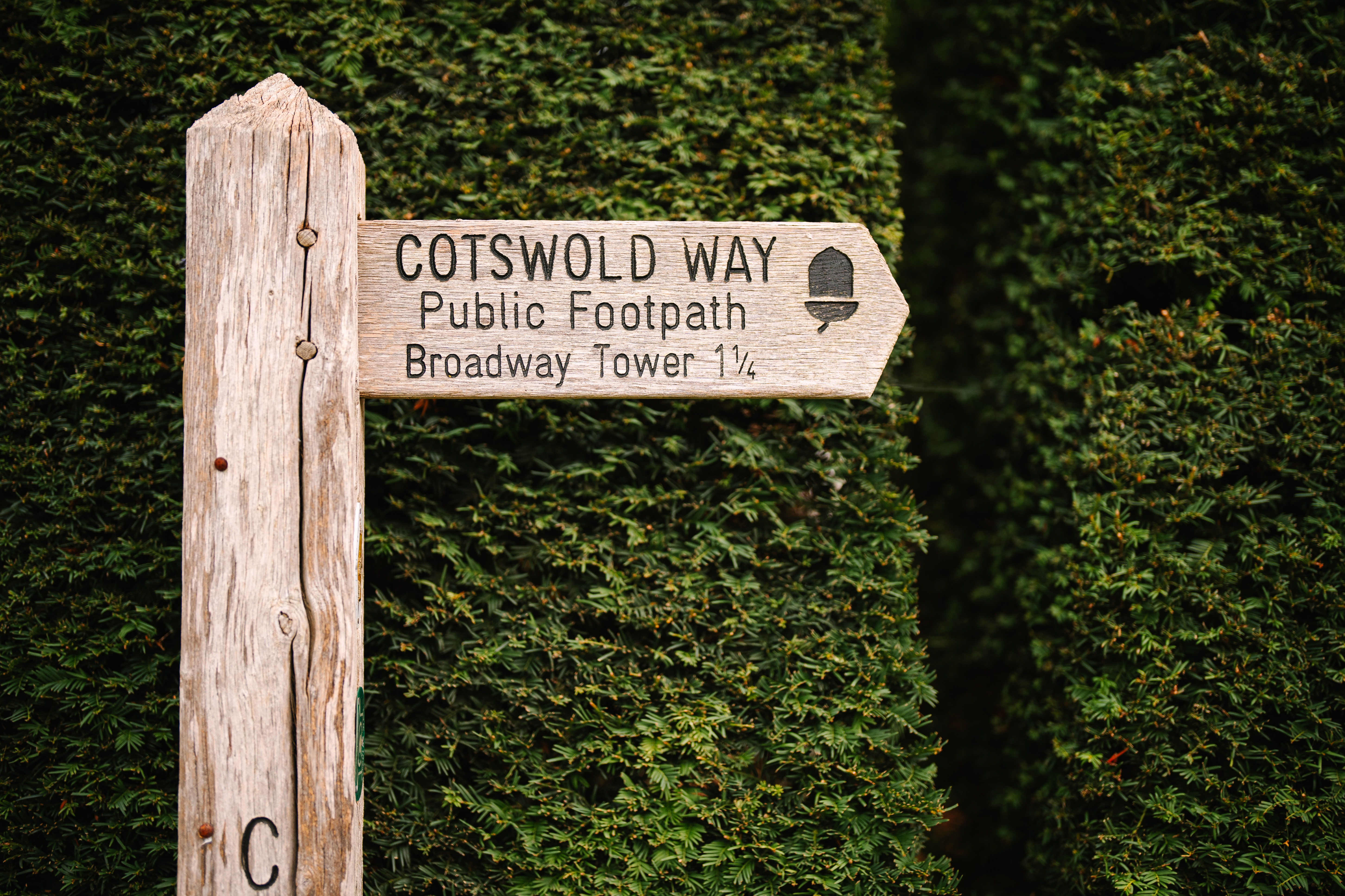 Wooden Cotswold Way footpath sign pointing to Broadway Tower