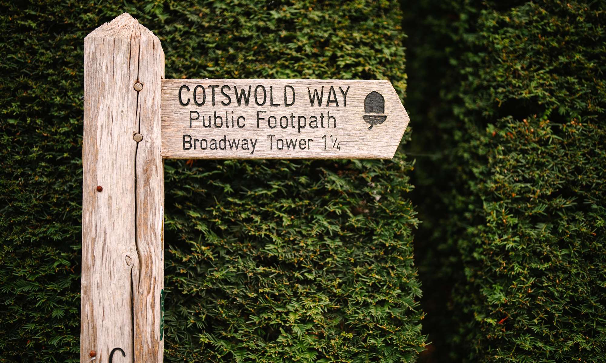 Wooden Cotswold Way footpath sign pointing to Broadway Tower
