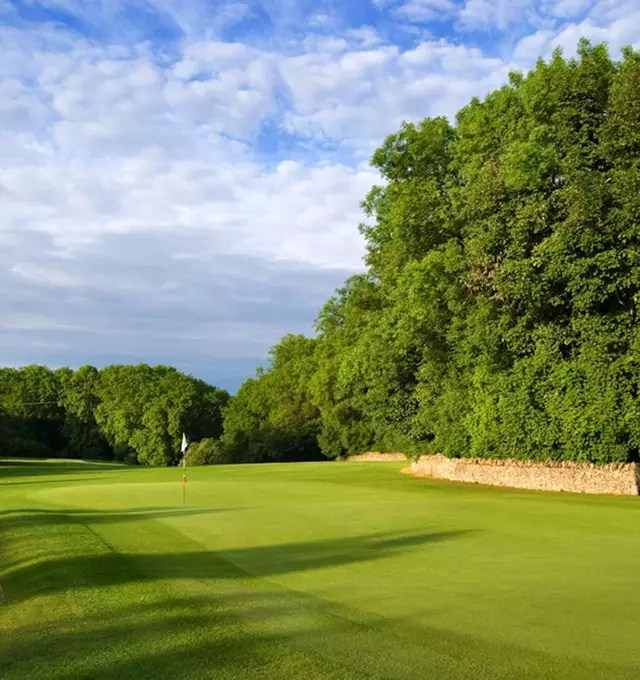 Sunny golf course with green fairway